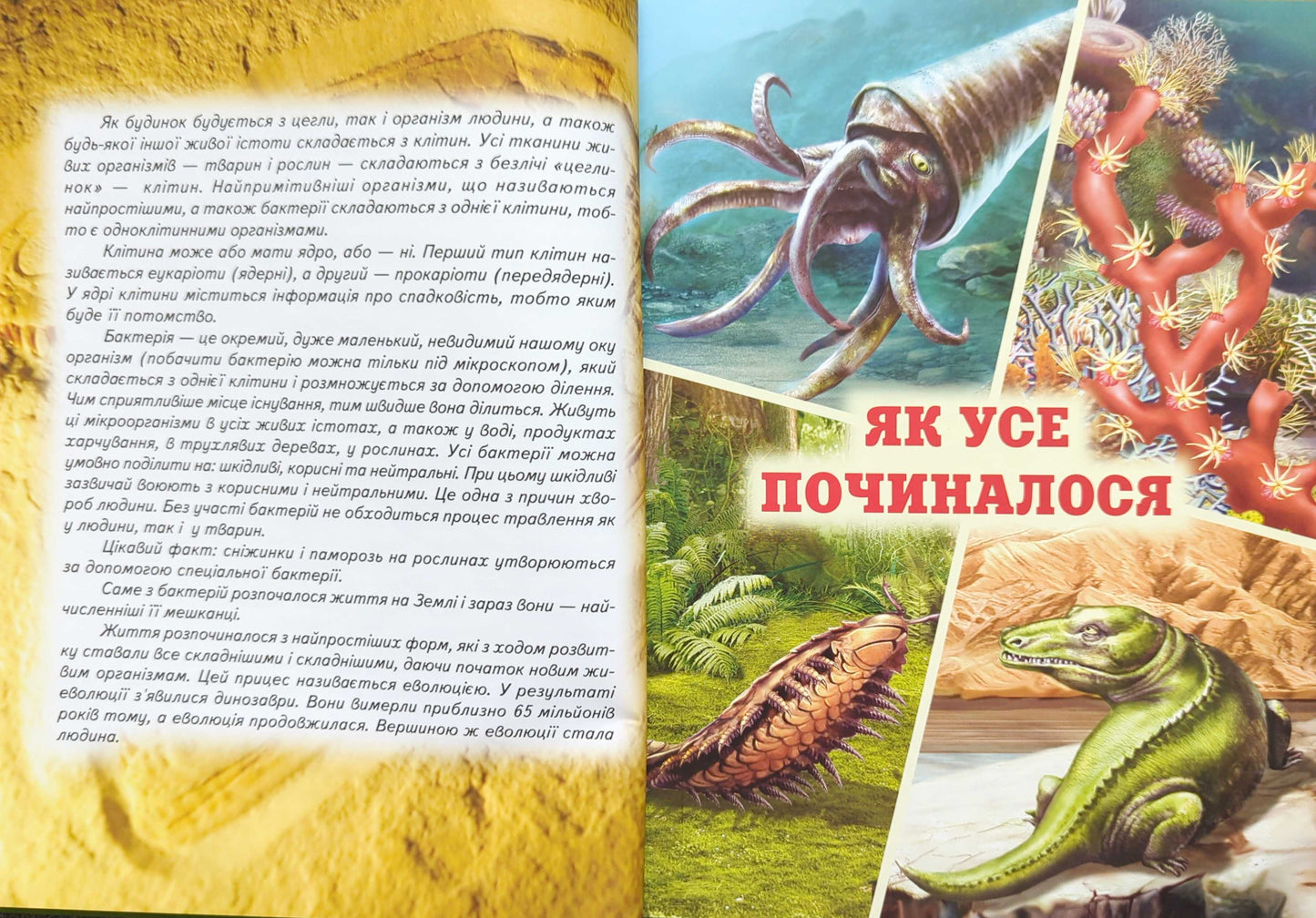 Encyclopedia for Inquisitive Kids. Book 3 (green)