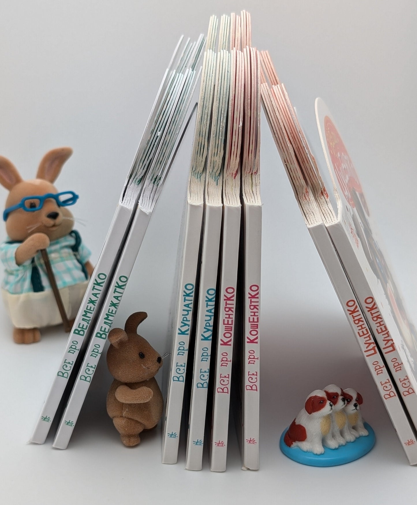 All About the Kitten