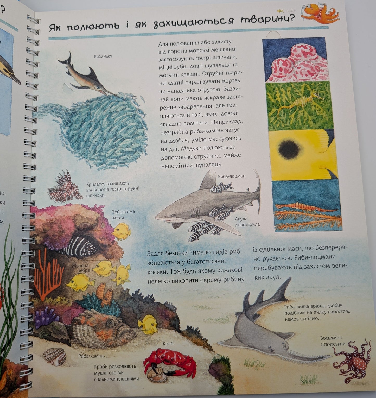 Why? of what Why? Studying sea animals