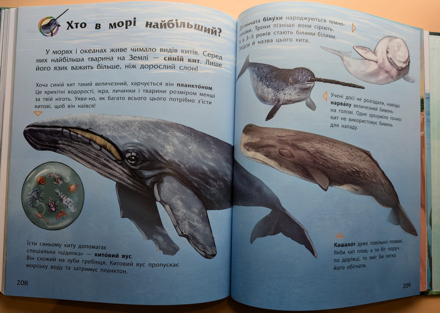 Encyclopedia of Preschoolers