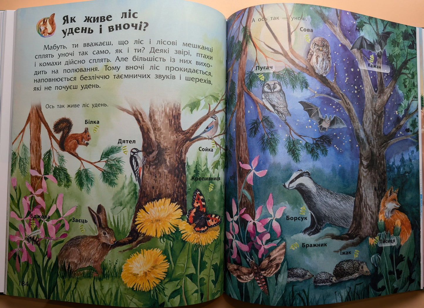 Encyclopedia of Preschoolers