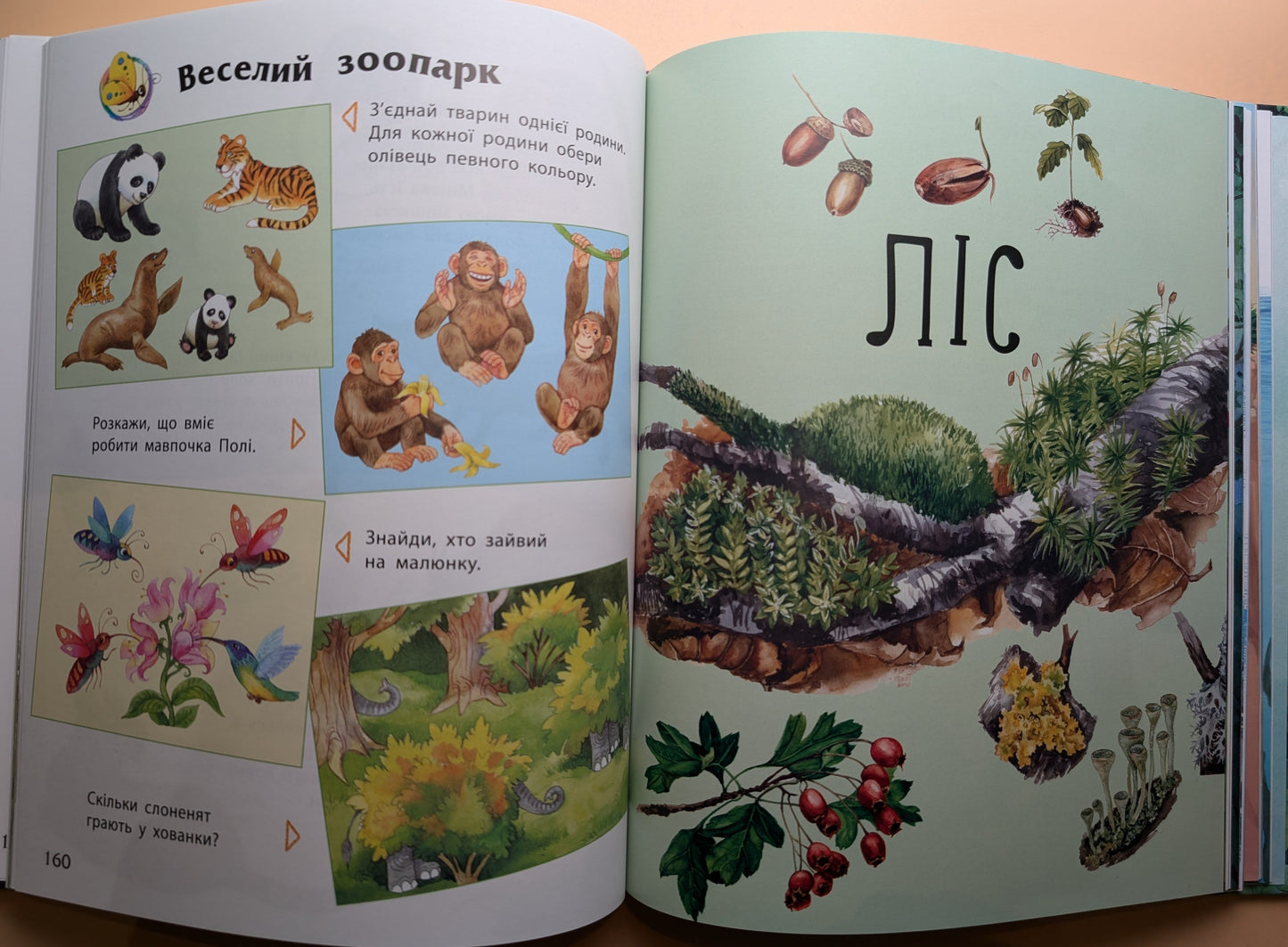 Encyclopedia of Preschoolers