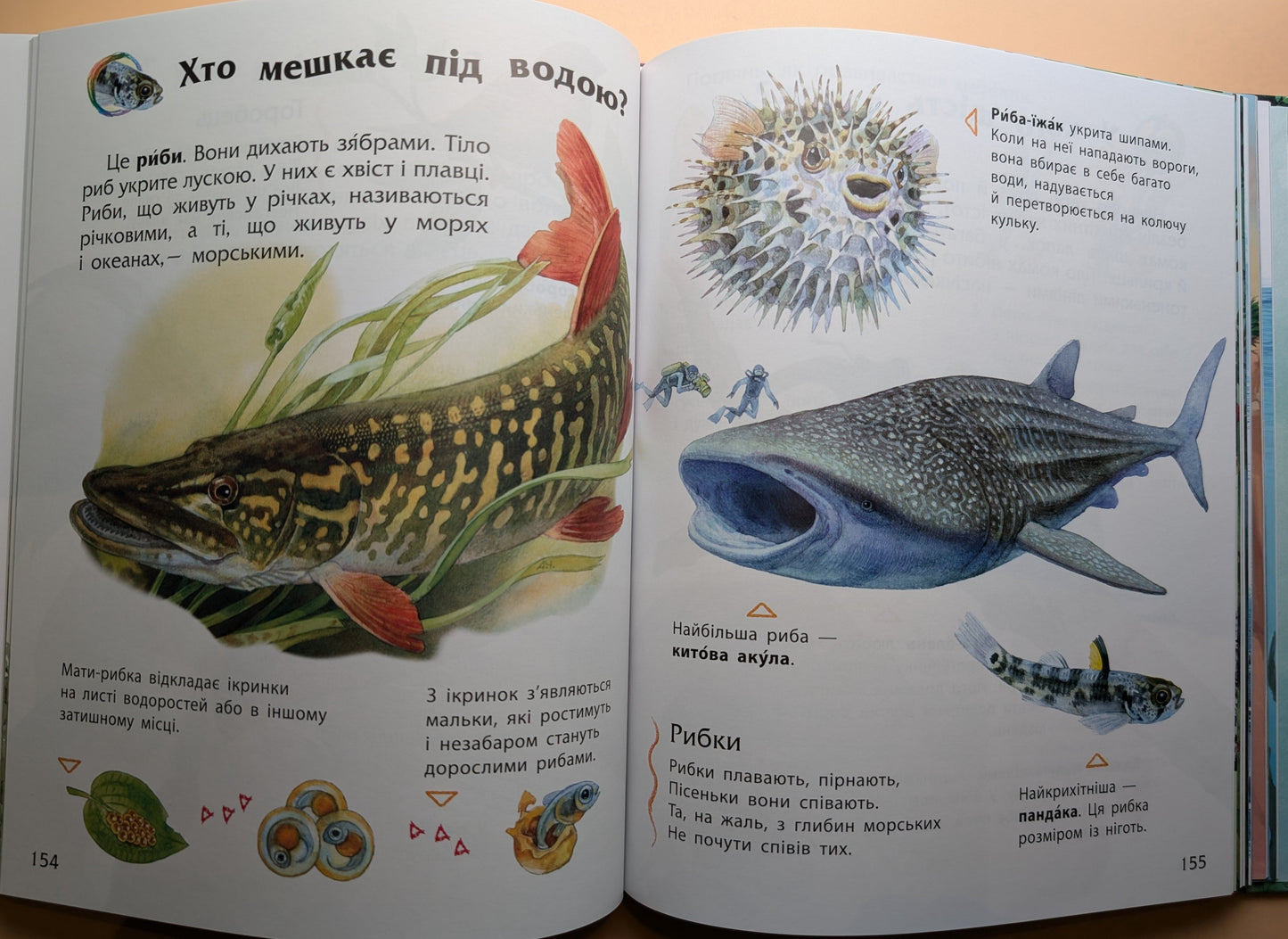 Encyclopedia of Preschoolers