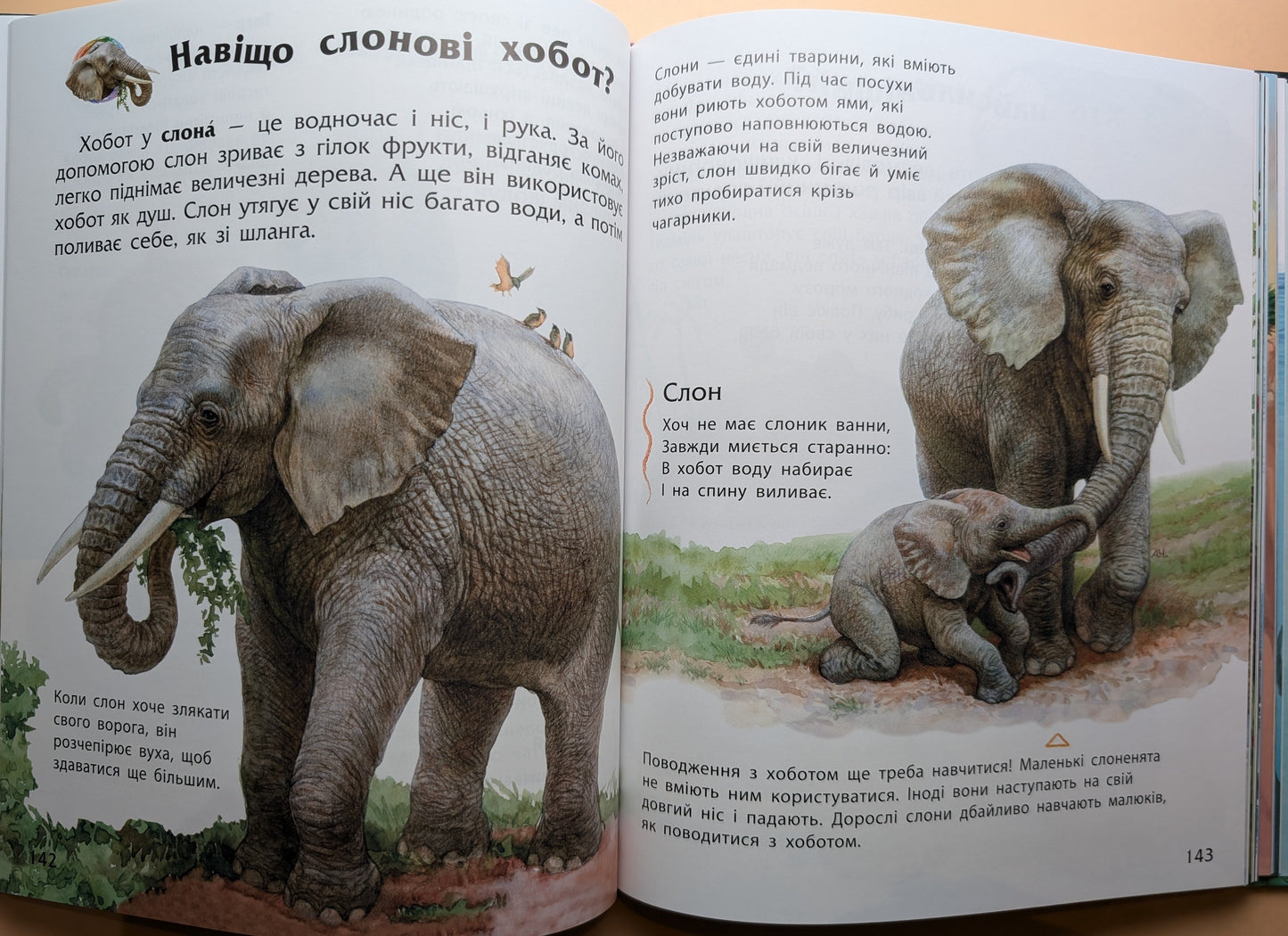 Encyclopedia of Preschoolers