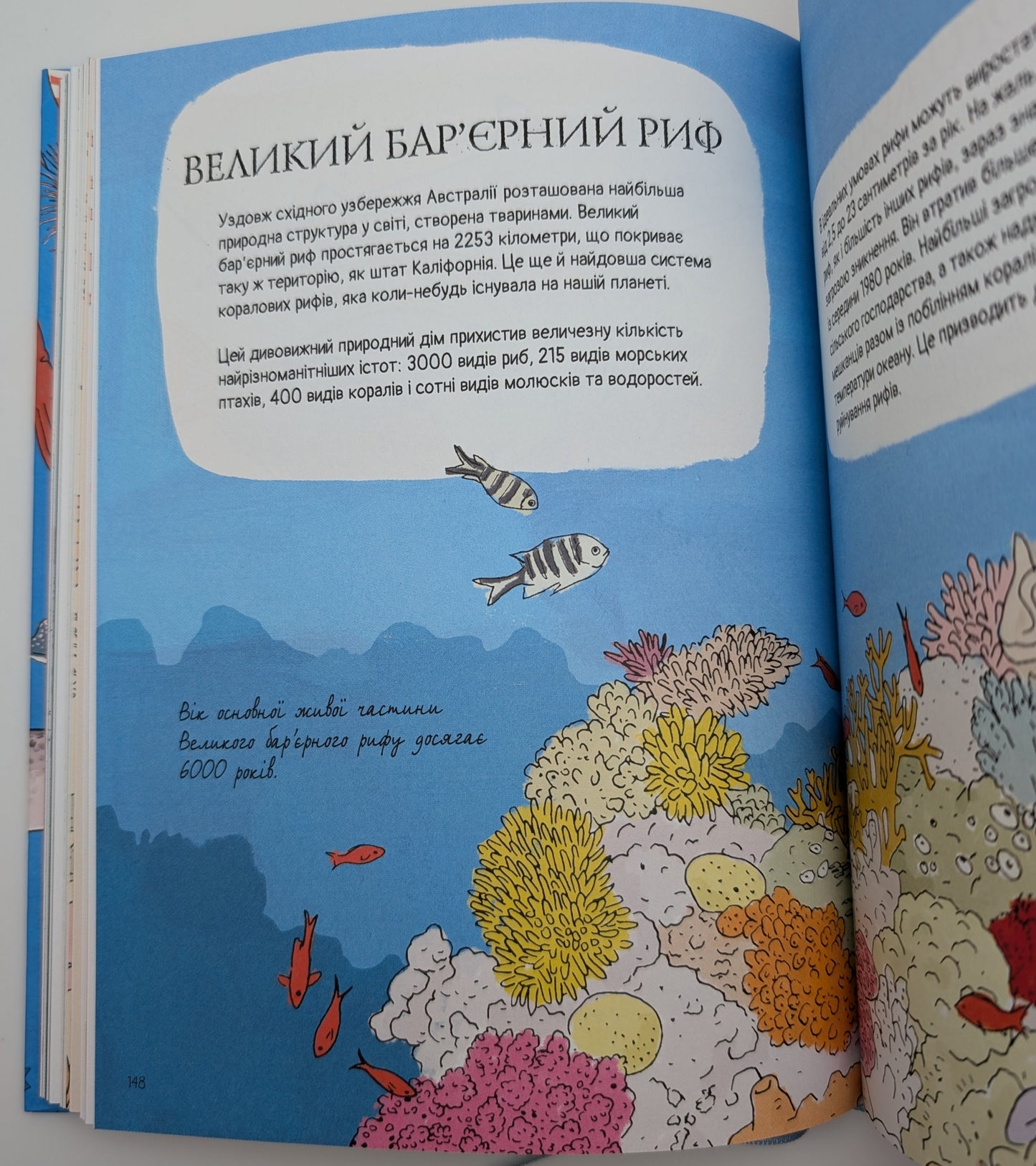 Anatomy of the Ocean. Incredible places and parts of the world hidden under water