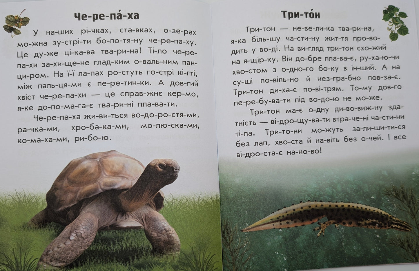I read about Ukraine. Animals of Rivers and Seas
