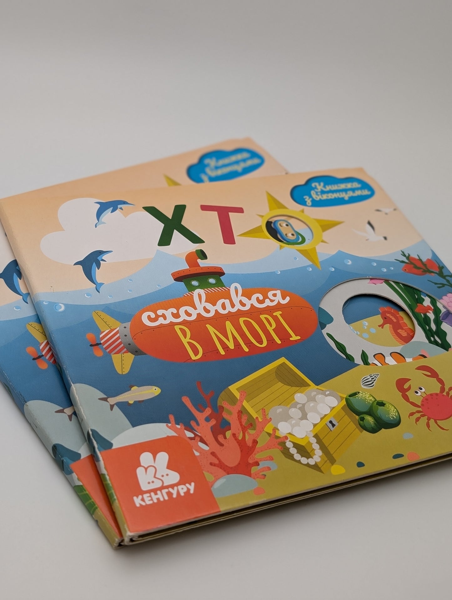 Who hid in the Sea. A book with windows