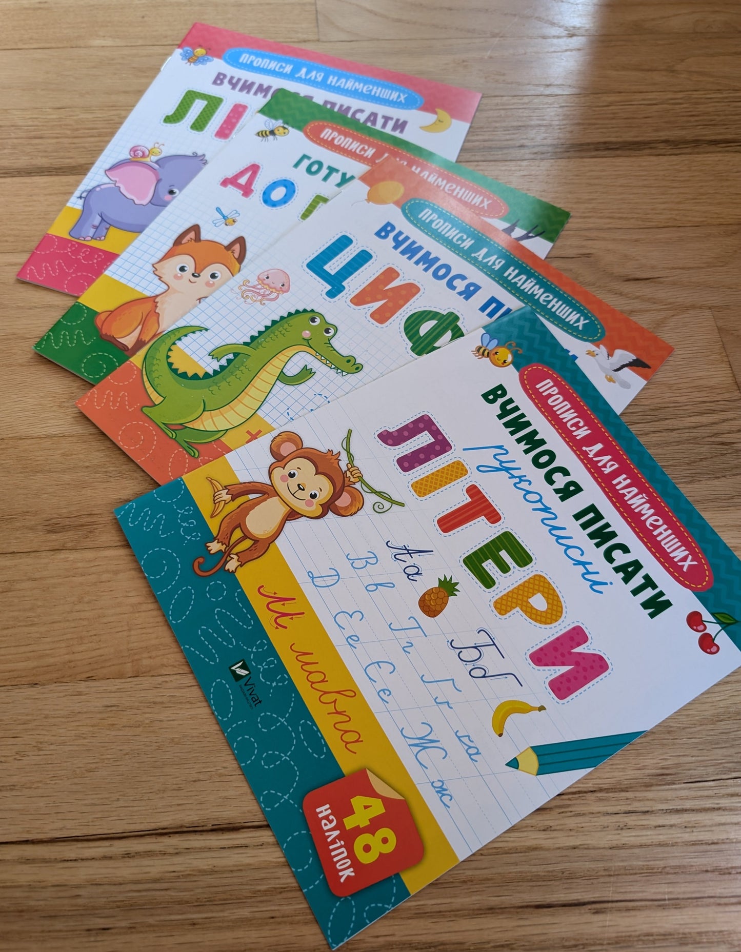We are preparing our hand for writing. (Soft cover)