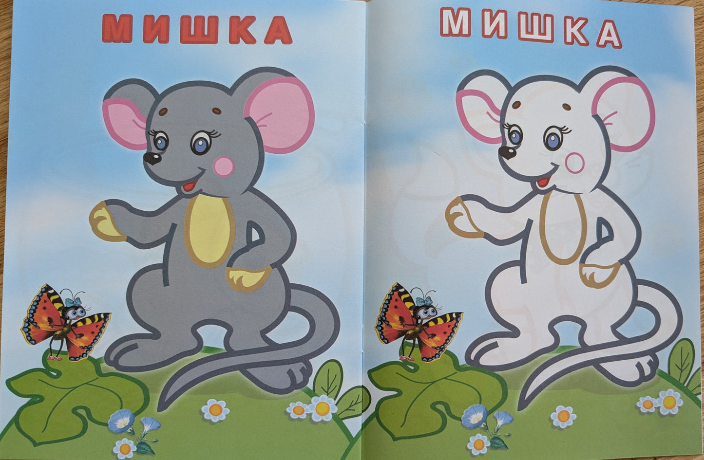 Recognize and color (Cat and fish). Coloring book. (Soft cover)