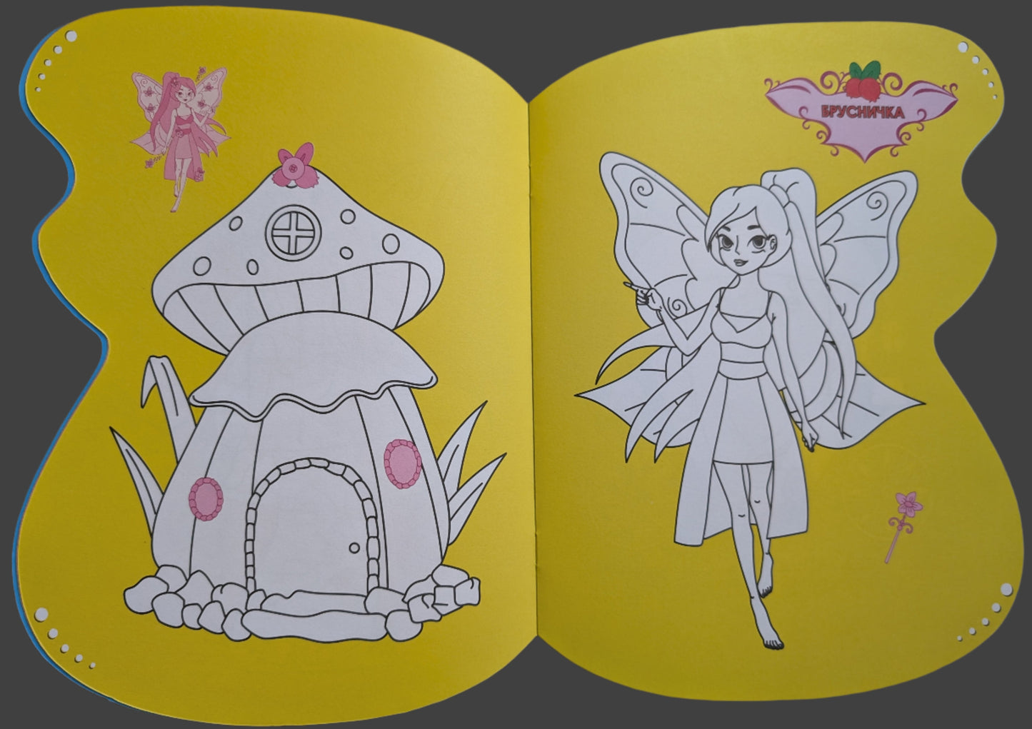 Forest fairies (color and sticker book) (Soft cover)