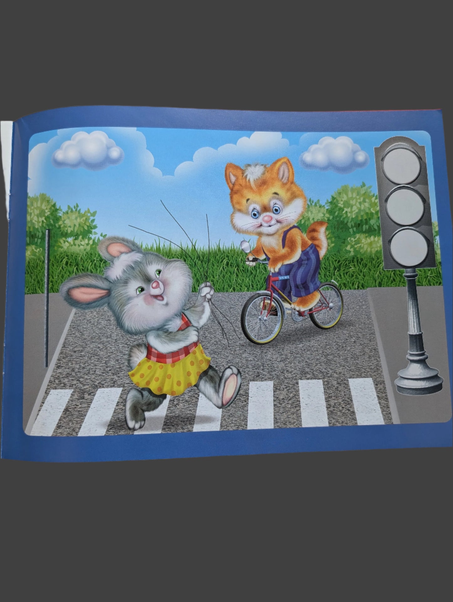 Look and play with stickers for babies (Kitten)(Soft cover)
