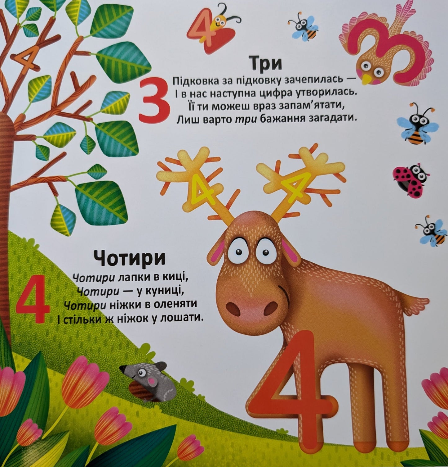 Багаторазовi водяні розмальовки. Лічба