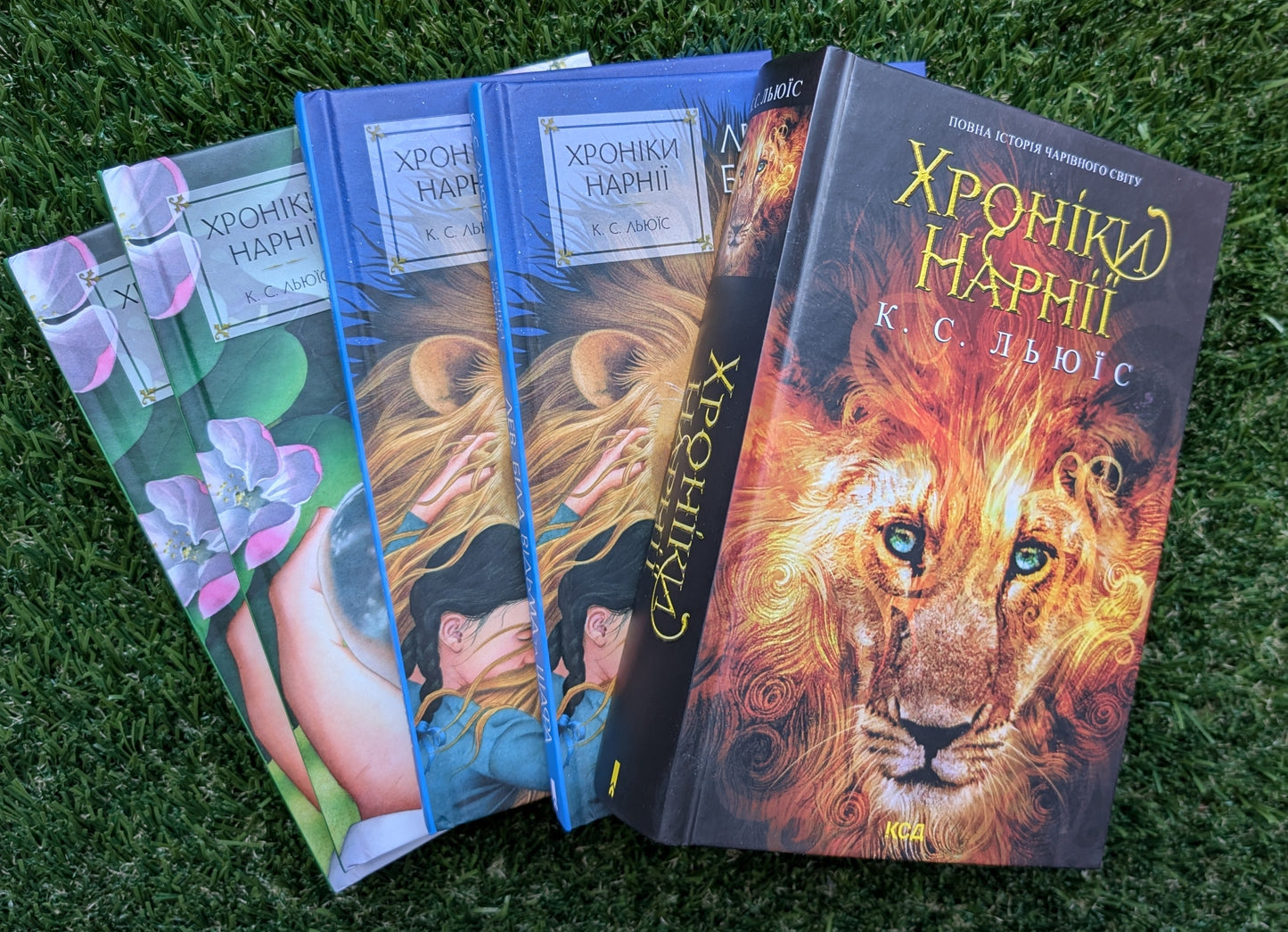 The Chronicles of Narnia: The Complete History of the Wizarding World