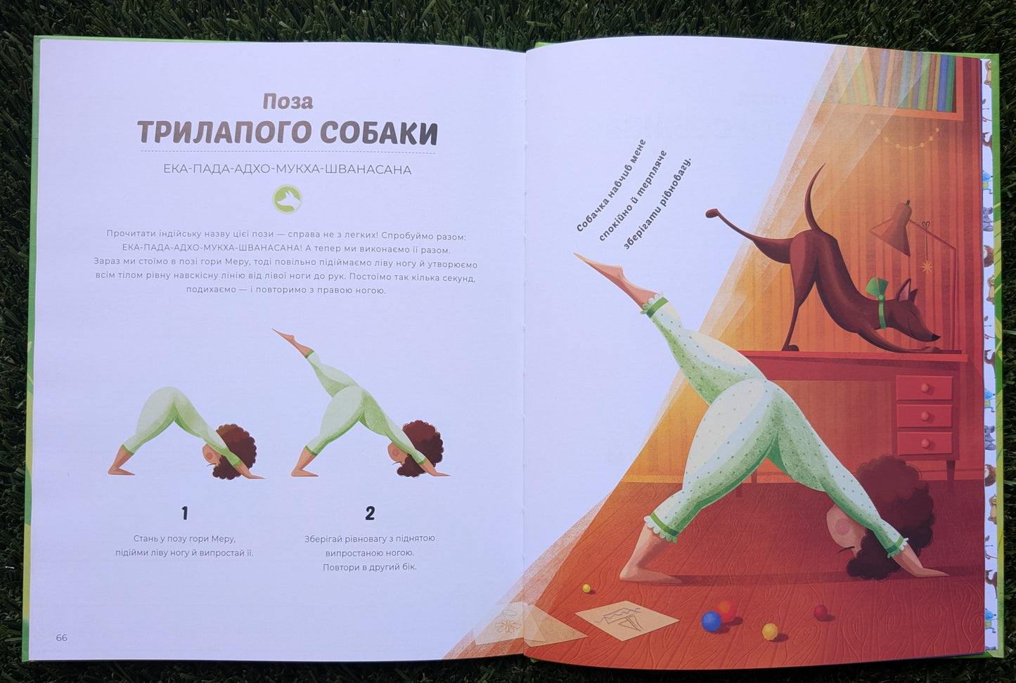 Morning and Evening Yoga