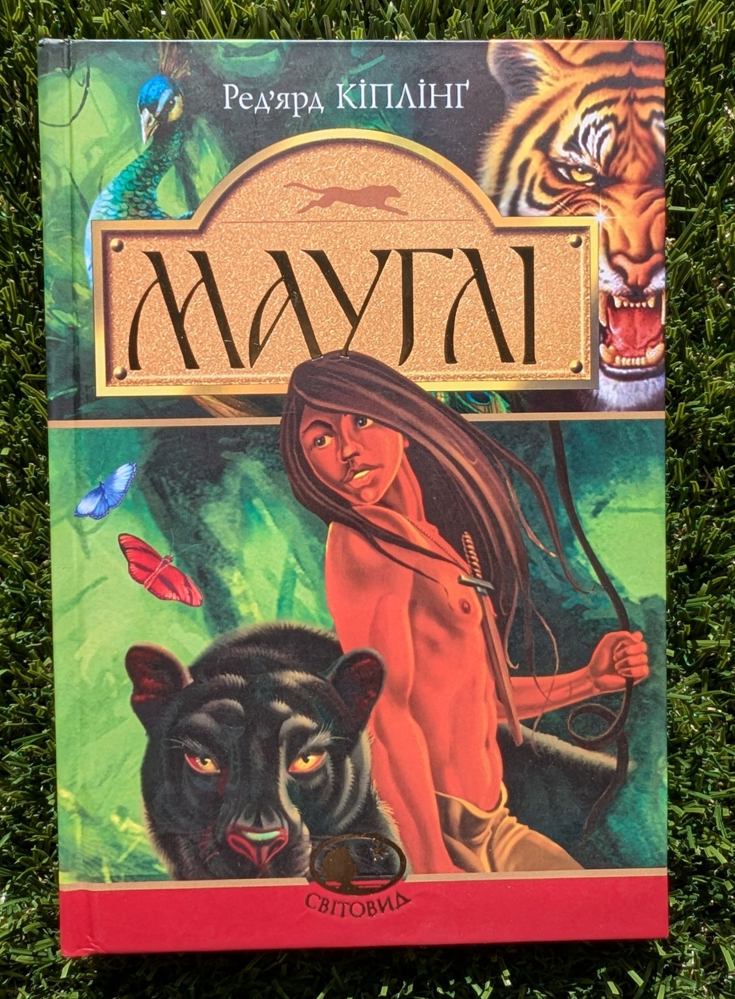 Mowgli. In the Rukh
